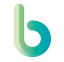 본네트워크